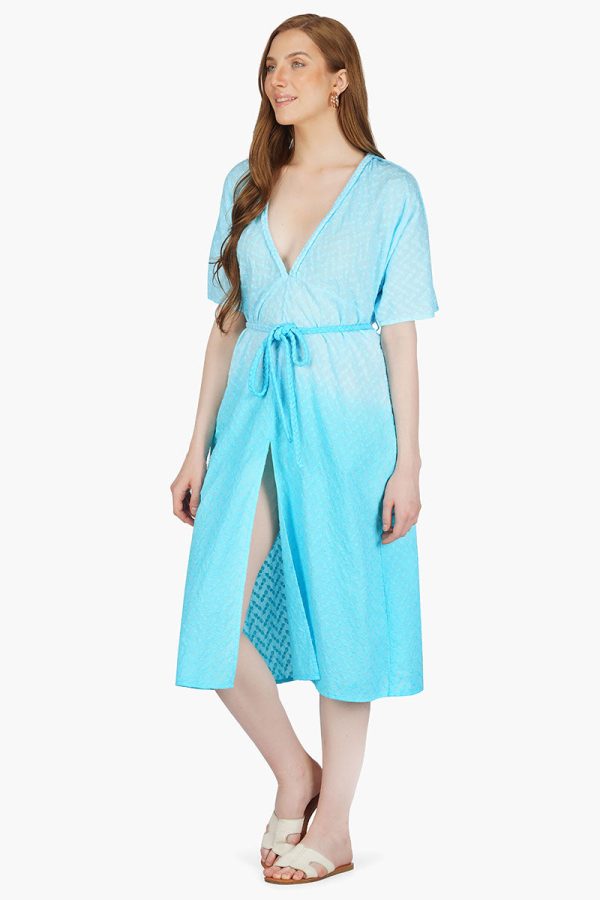 Frances Ombre Embroidered Dress - Image 3