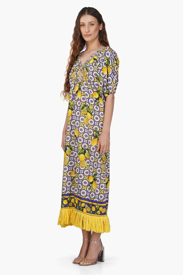 Citrus Lemon Printed Dress - Image 4