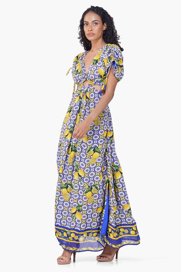 Citrus Lemon Lurex Print Dress - Image 3